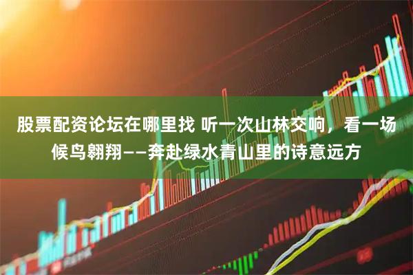 股票配资论坛在哪里找 听一次山林交响，看一场候鸟翱翔——奔赴绿水青山里的诗意远方