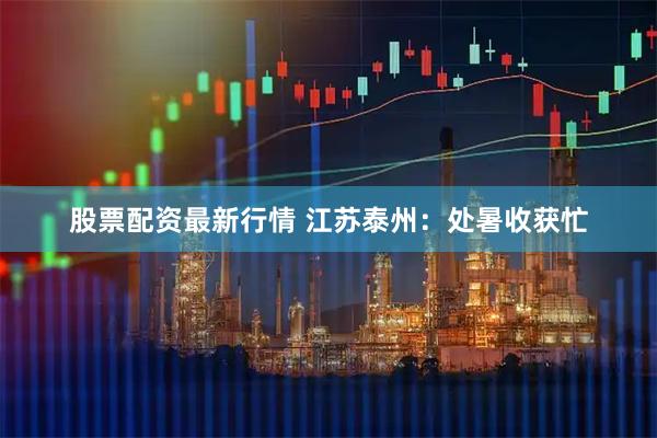 股票配资最新行情 江苏泰州：处暑收获忙